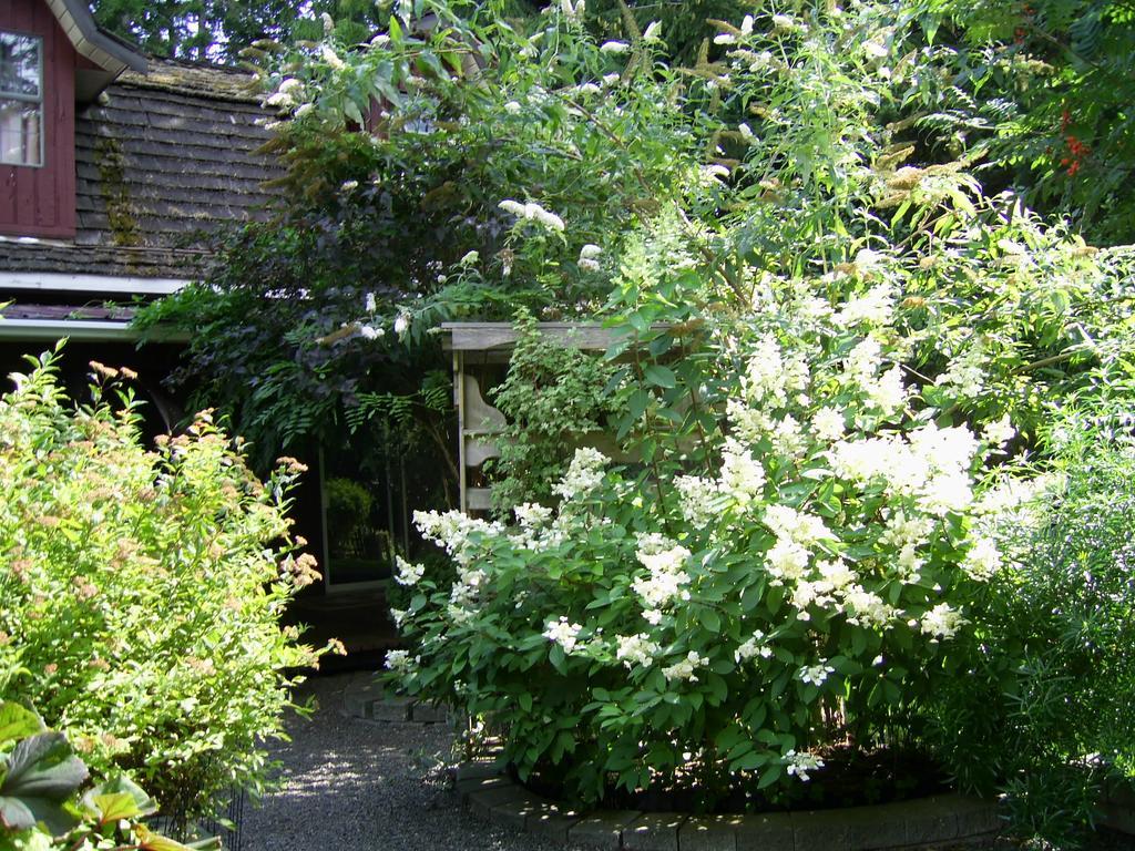 Hotel Garden House Courtenay Zewnętrze zdjęcie