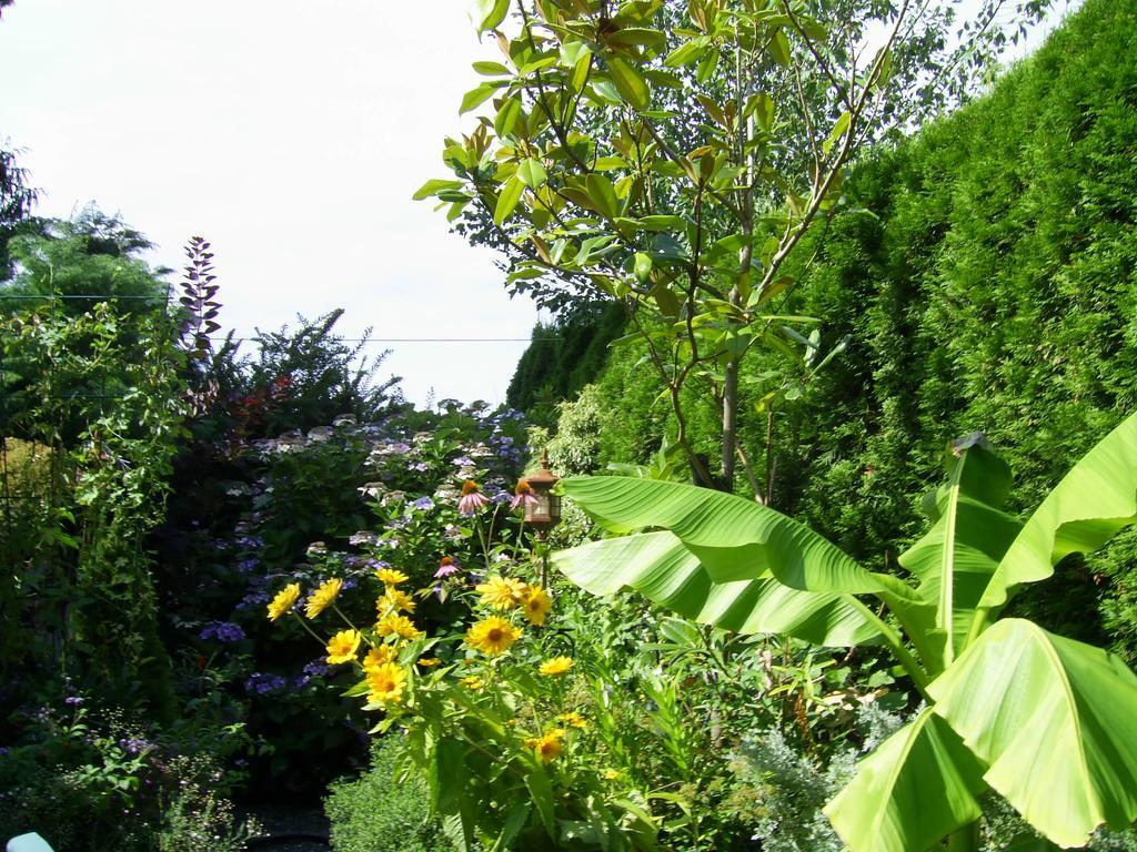 Hotel Garden House Courtenay Zewnętrze zdjęcie