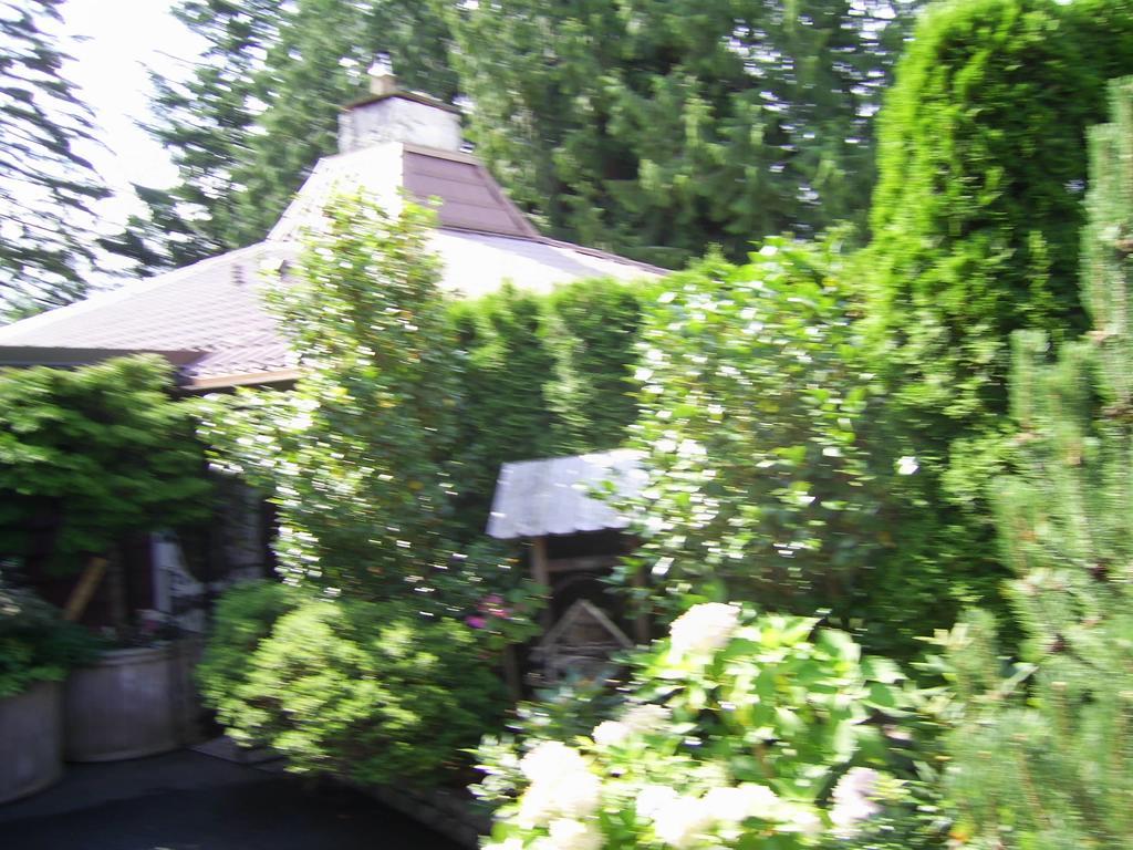 Hotel Garden House Courtenay Zewnętrze zdjęcie